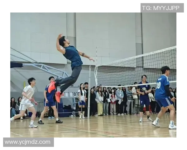 重庆排球队的拼搏之路：一段关于梦想与坚持的排球纪实故事